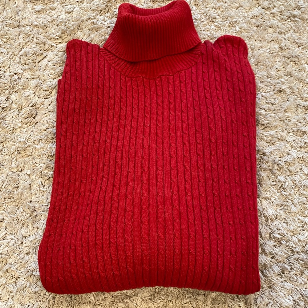 NEW-Splendid turtleneck sweater.  NWOT